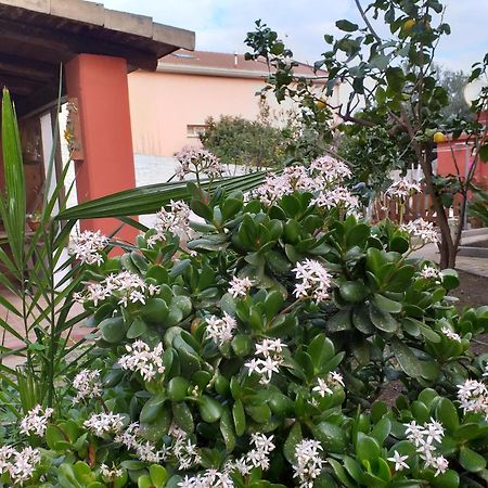 I Due Ciuchini Sardinia Apartment ซัสซารี ภายนอก รูปภาพ