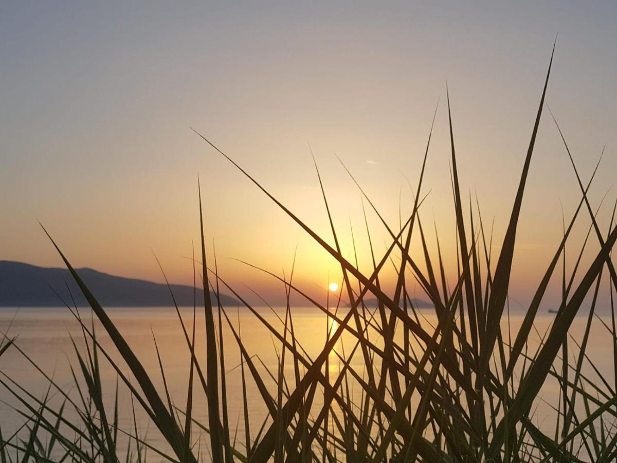 I Due Ciuchini Sardinia Apartment ซัสซารี ภายนอก รูปภาพ
