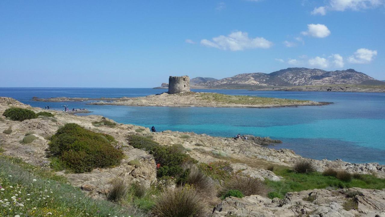 I Due Ciuchini Sardinia Apartment ซัสซารี ภายนอก รูปภาพ