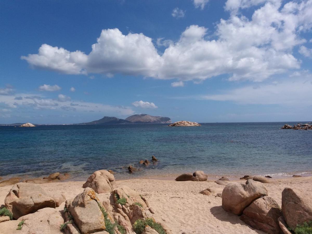I Due Ciuchini Sardinia Apartment ซัสซารี ภายนอก รูปภาพ